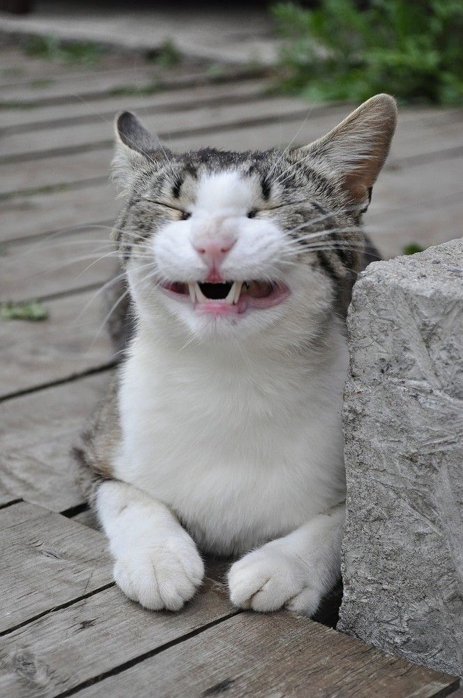 Photograph by Наталья Новкис