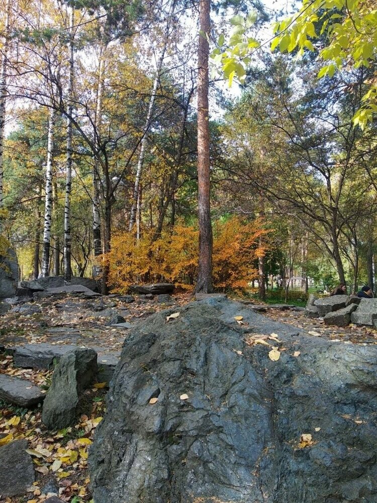 Photograph by Юлия Прохорова