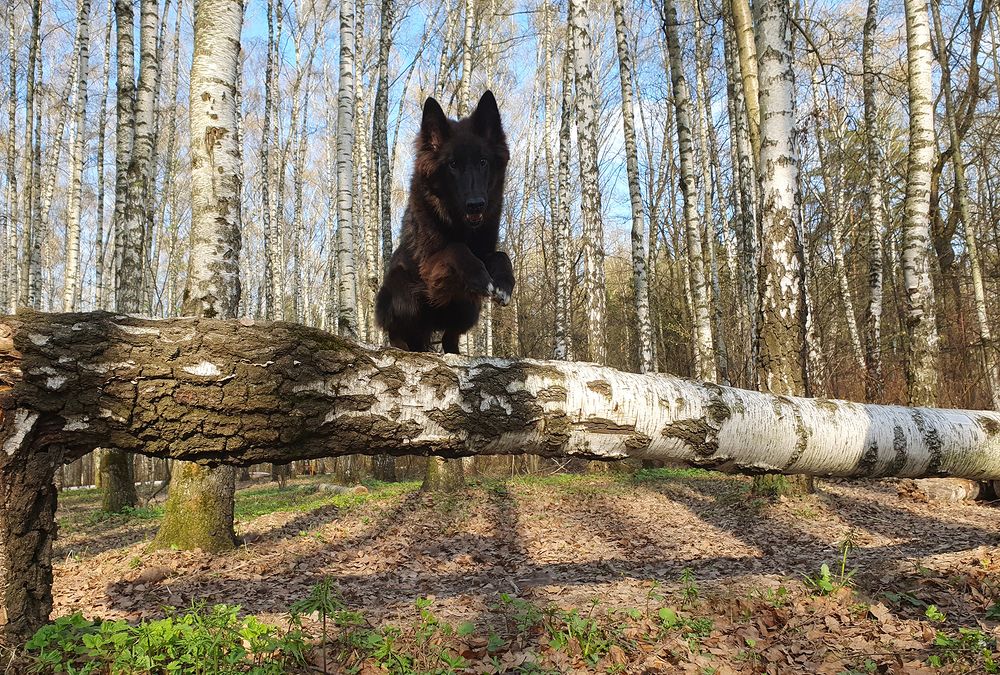 Фотография автора Надежда Лисицына