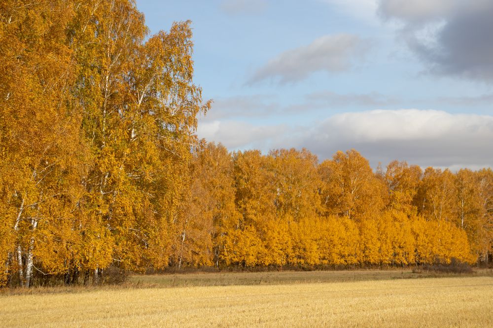 Photograph by Наталья Мотрий