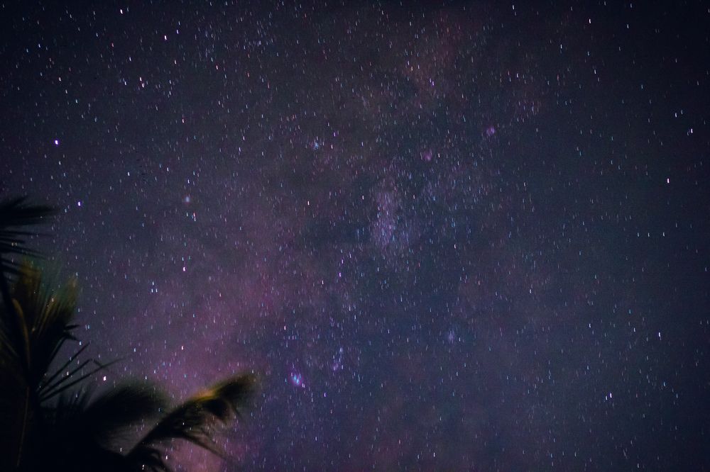 Photograph by Dewindu H. Fernando