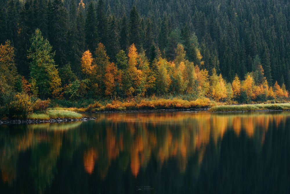 Photograph by Андрей Баскевич