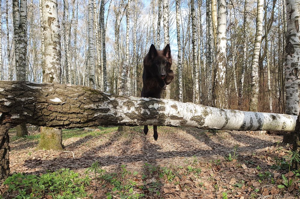 Фотография автора Надежда Лисицына