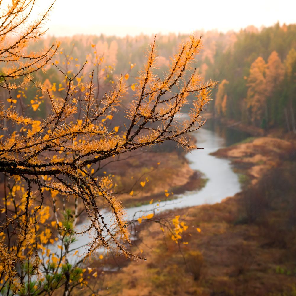 Photograph by Олег Бережных