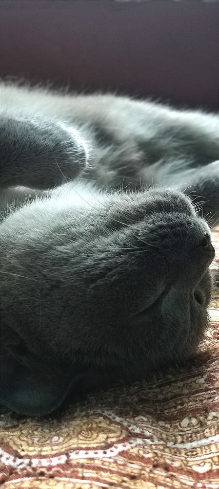 Фотография автора Васильева Ирина