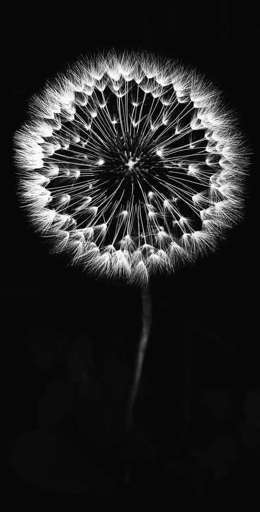 Photograph by Васильева Ирина