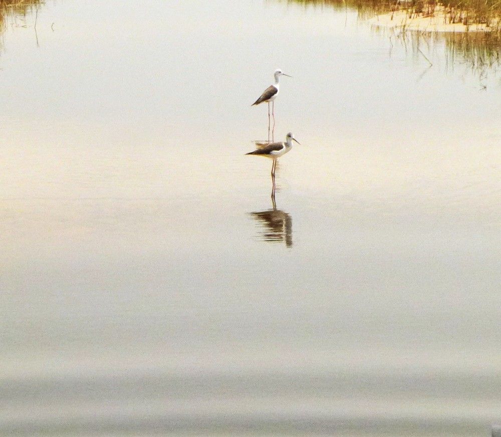 Photograph by Ирина Орлова