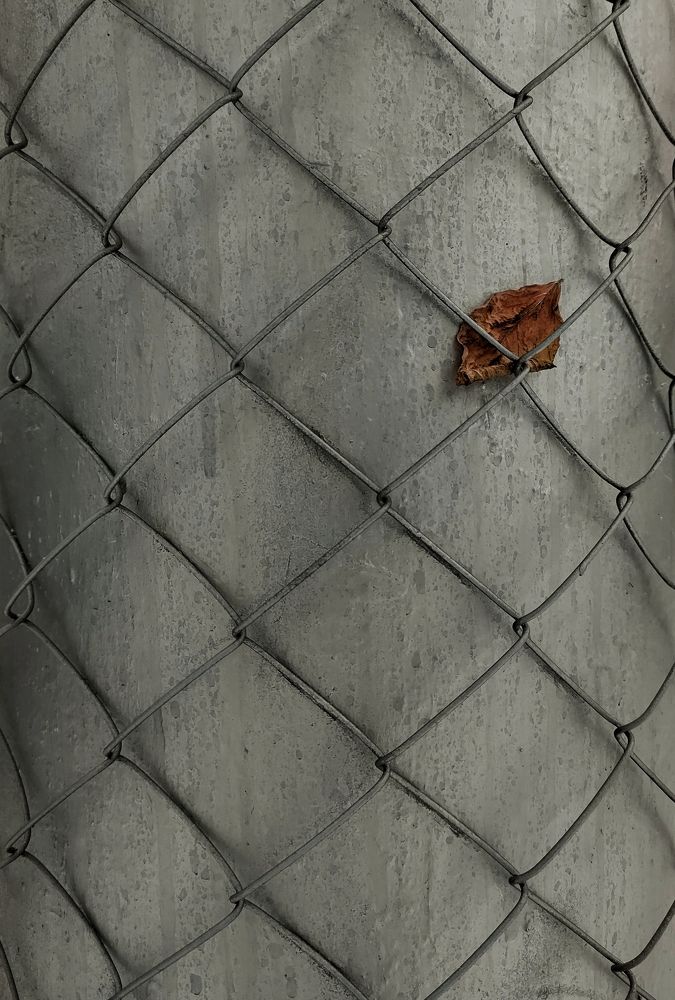 Photograph by Oksana