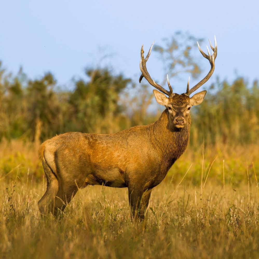 Фотография автора Sebastian Popa