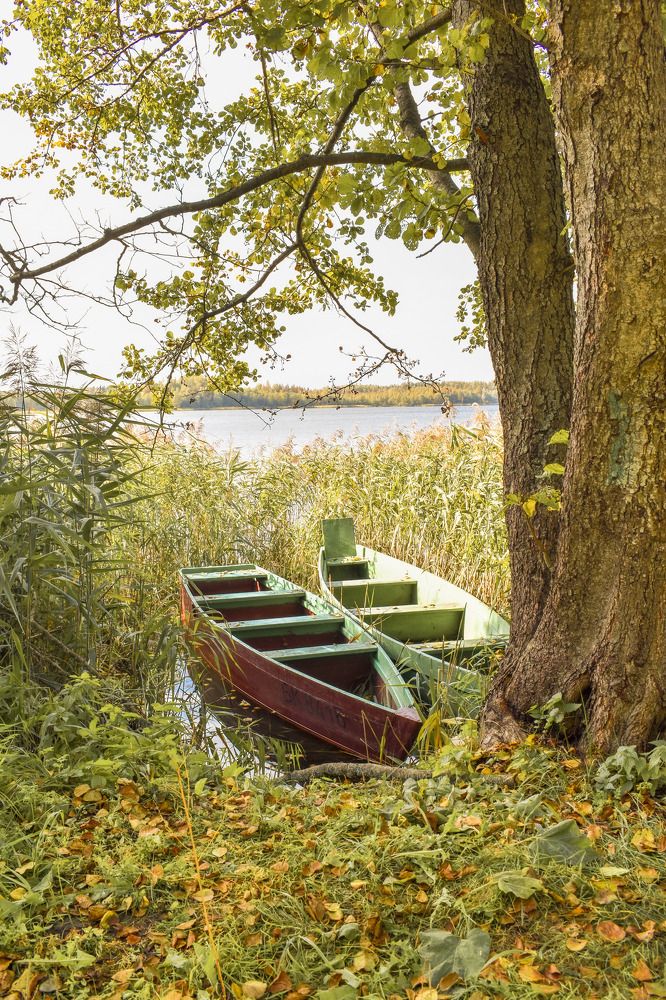 Photograph by Лариса Толкачёва