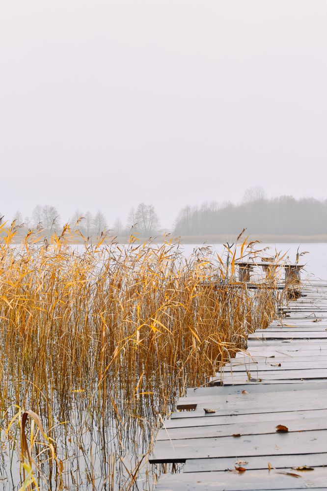 Photograph by Лариса Толкачёва