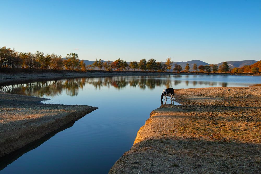 Photograph by Дмитрий Цыпляев