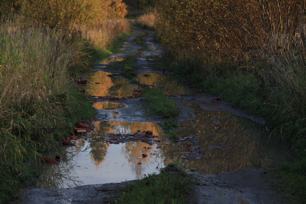 Фотография автора Анастасия Зверева