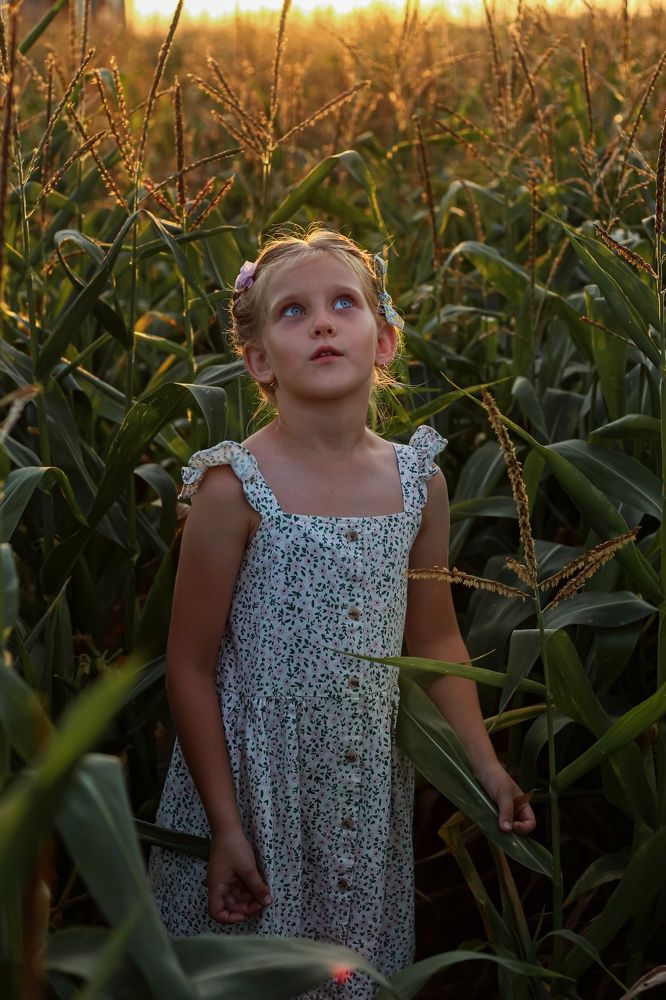 Фотография автора Юлия Нефёдова