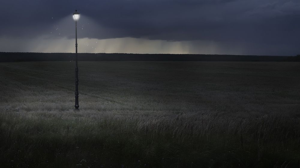 Photograph by Алексей Парамонов