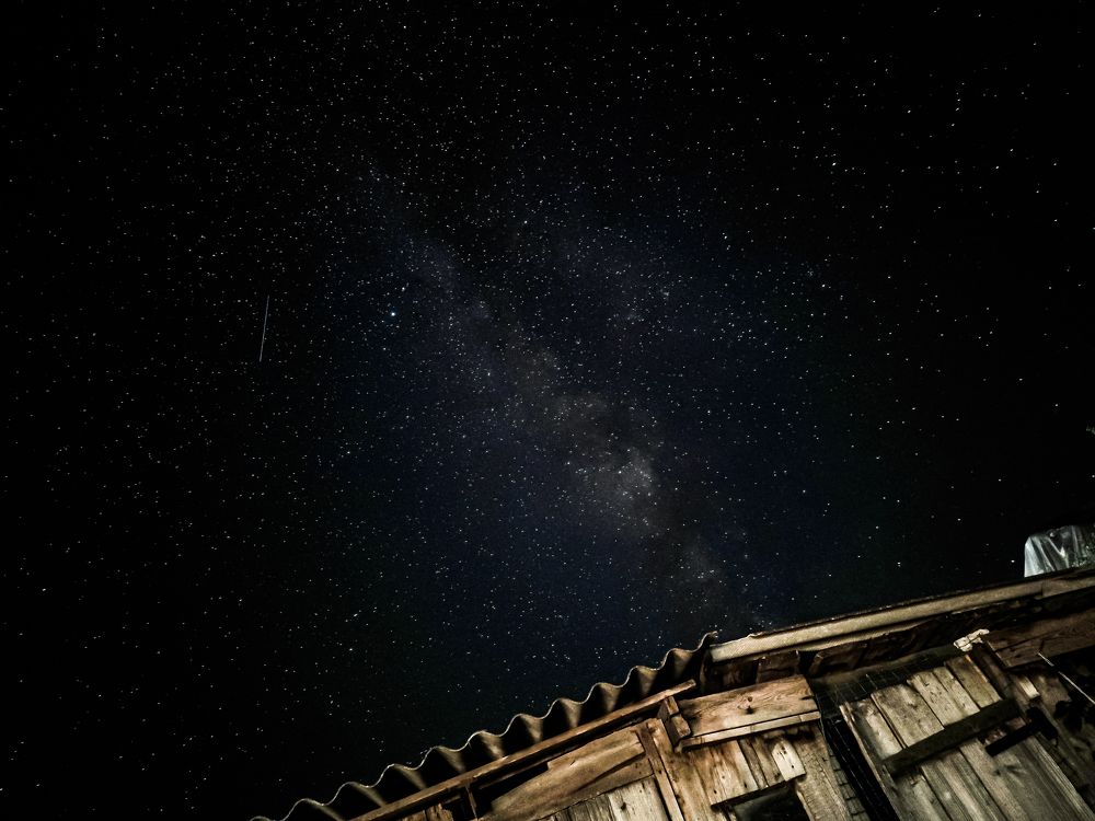 Photograph by Ирина Шибитова