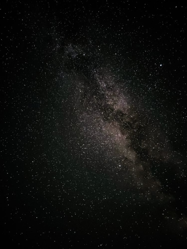 Photograph by Ирина Шибитова