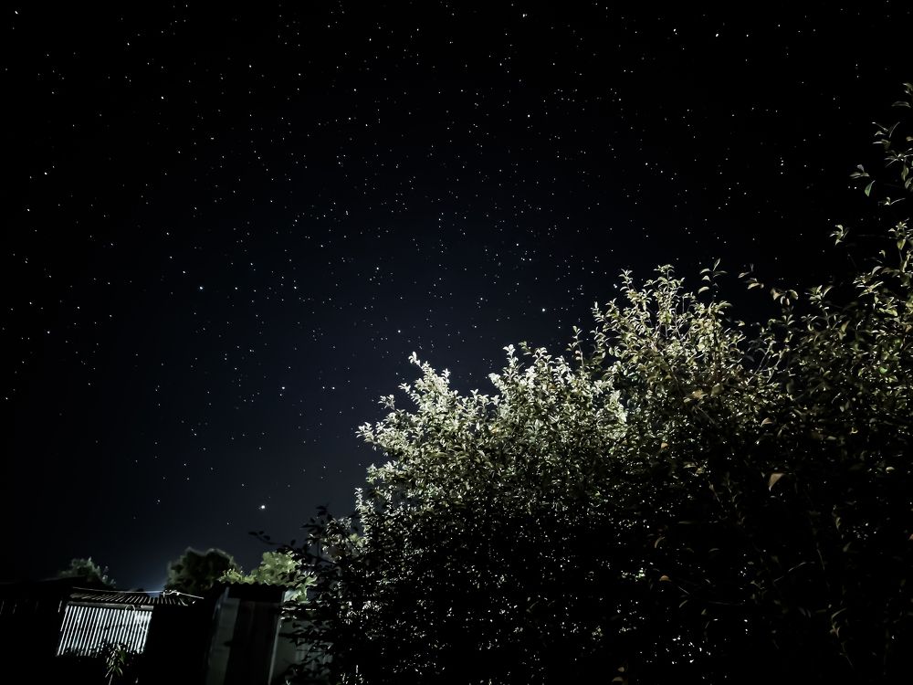 Photograph by Ирина Шибитова