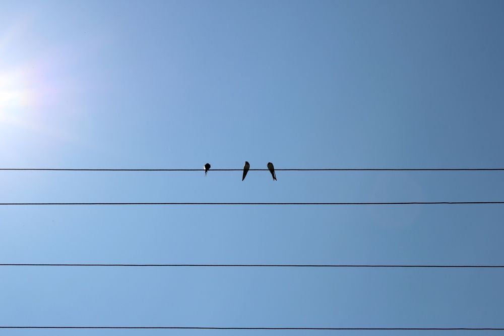 Photograph by Olga Bagaeva