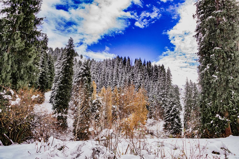 Зима в осени