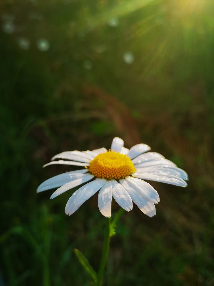 Photograph by Юлия