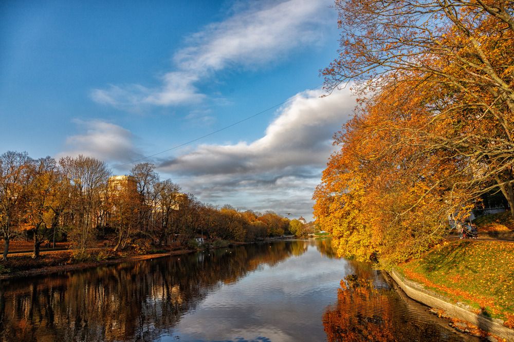 Фотография автора Виталий Новиков