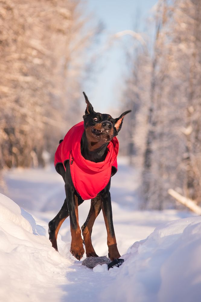 Photograph by Виктория Мамаева