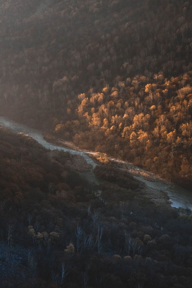 Фотография автора Илья Кантаков