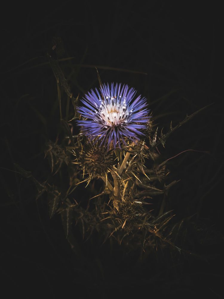 Photograph by Lucia Correia