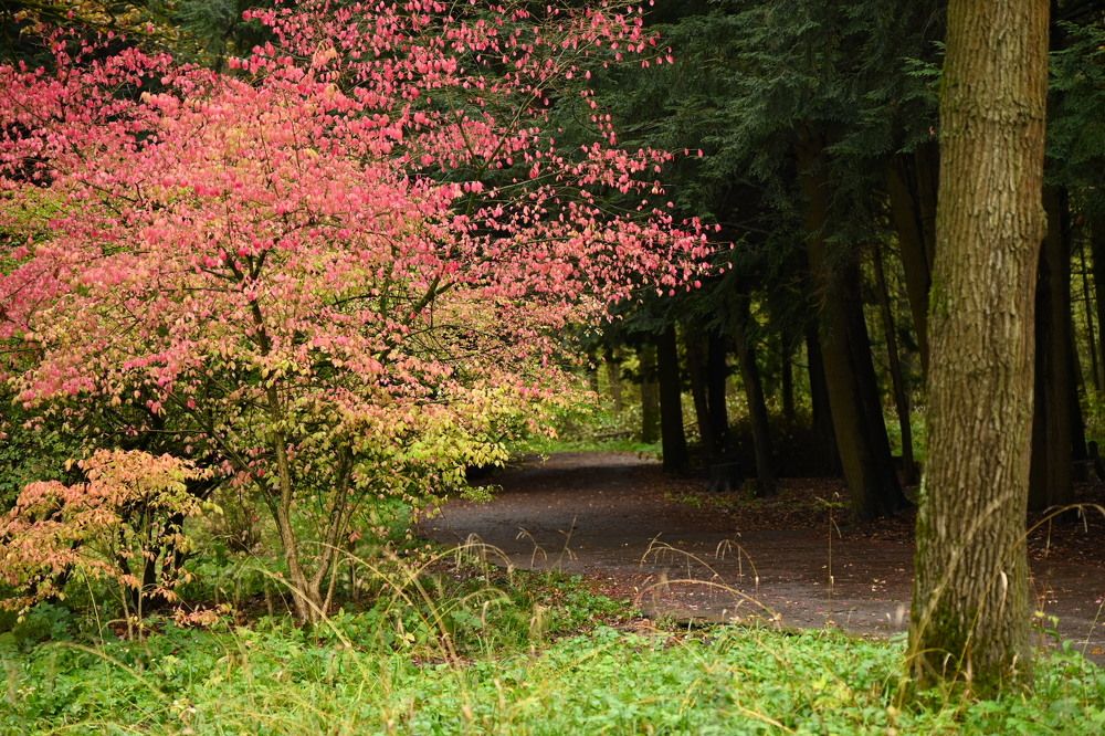 Photograph by Светлана Рубникович