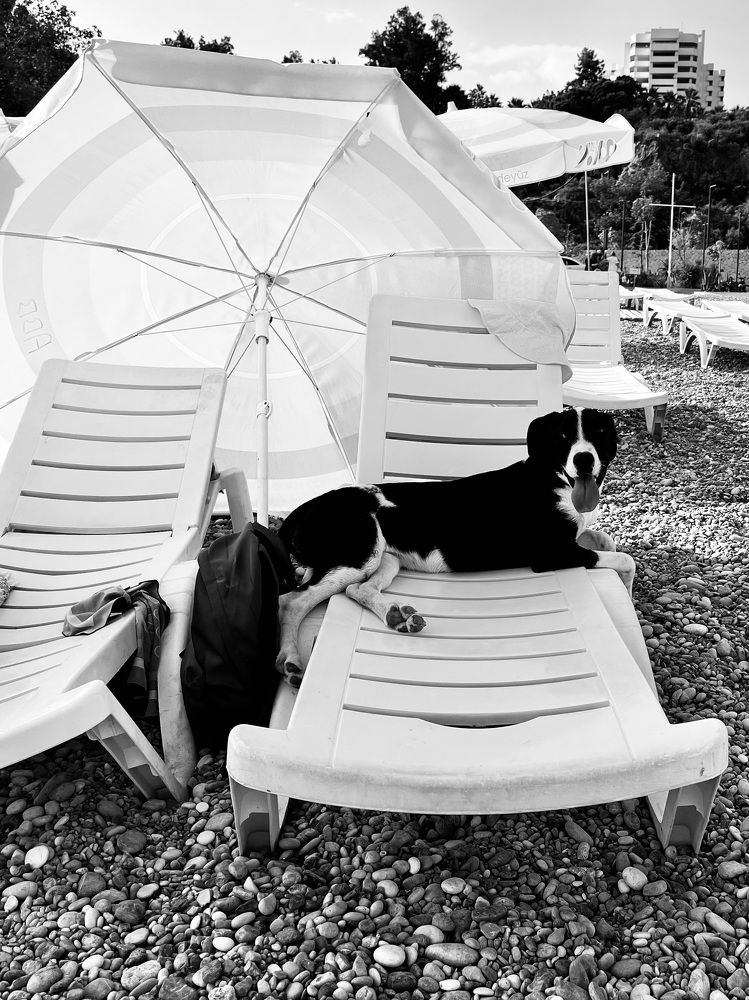 Photograph by Макс Спицын