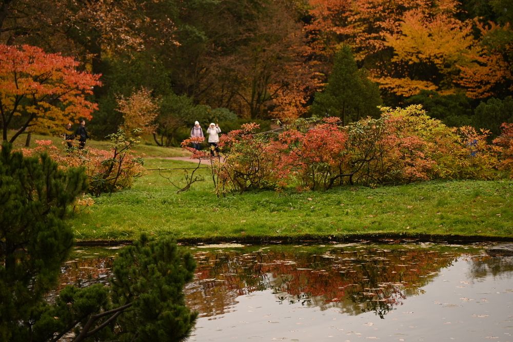 Photograph by Светлана Рубникович