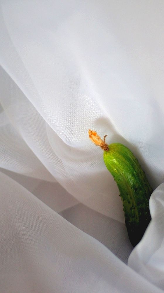 Photograph by Наталья