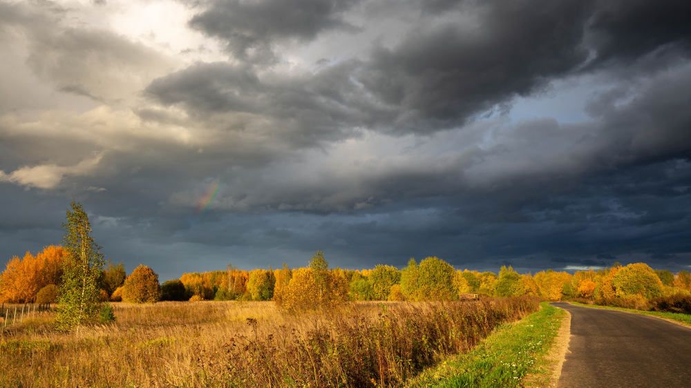 ВСЕ КРАСКИ ОСЕНИ