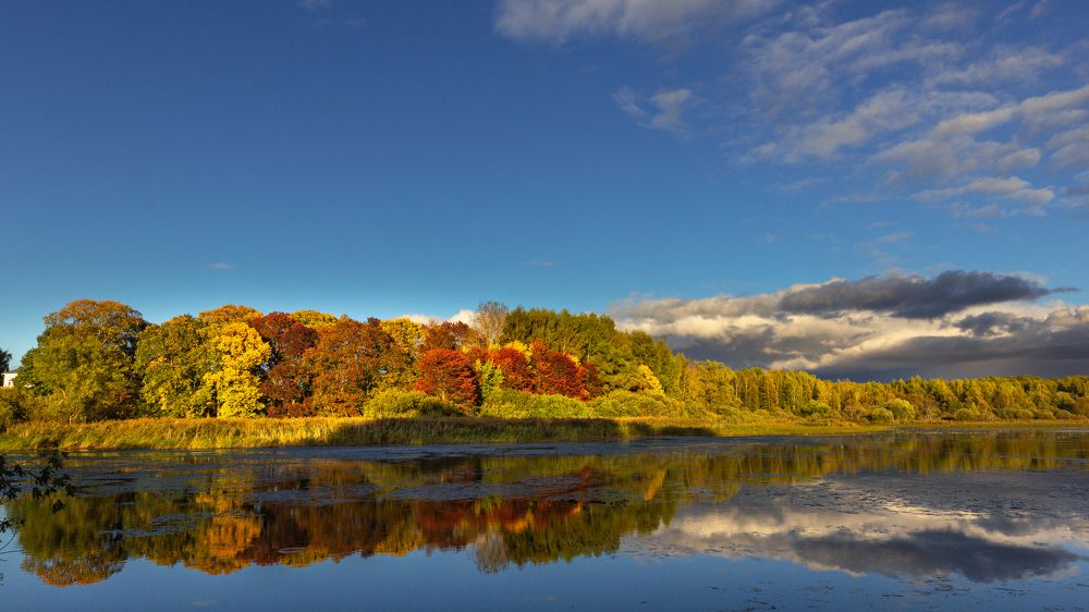 ОСЕННИЙ НАРЯД