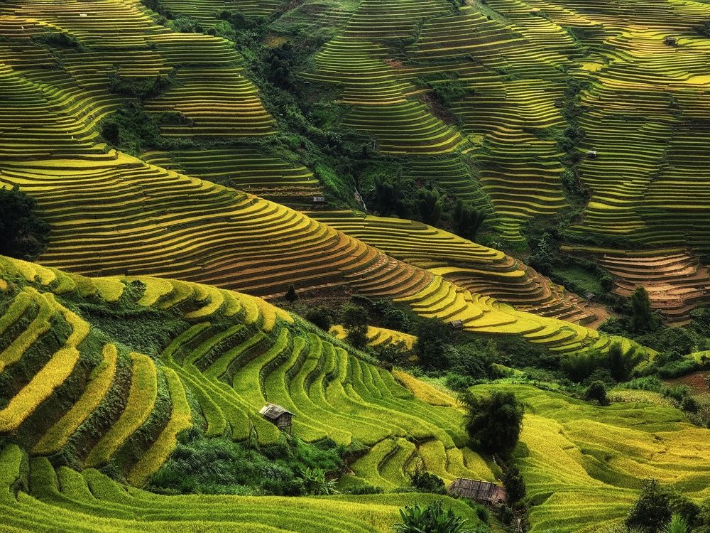 Photograph by Do Thi Thanh Binh