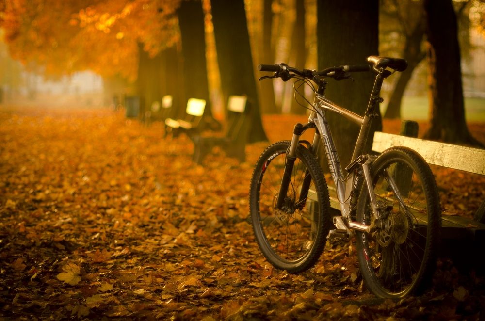 Photograph by Wydmuch Maciej