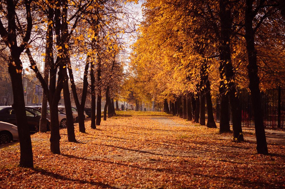 Photograph by Татьяна Зубехина