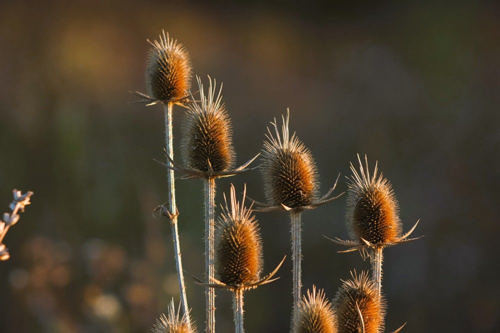 Фотография автора Михаил Лупина