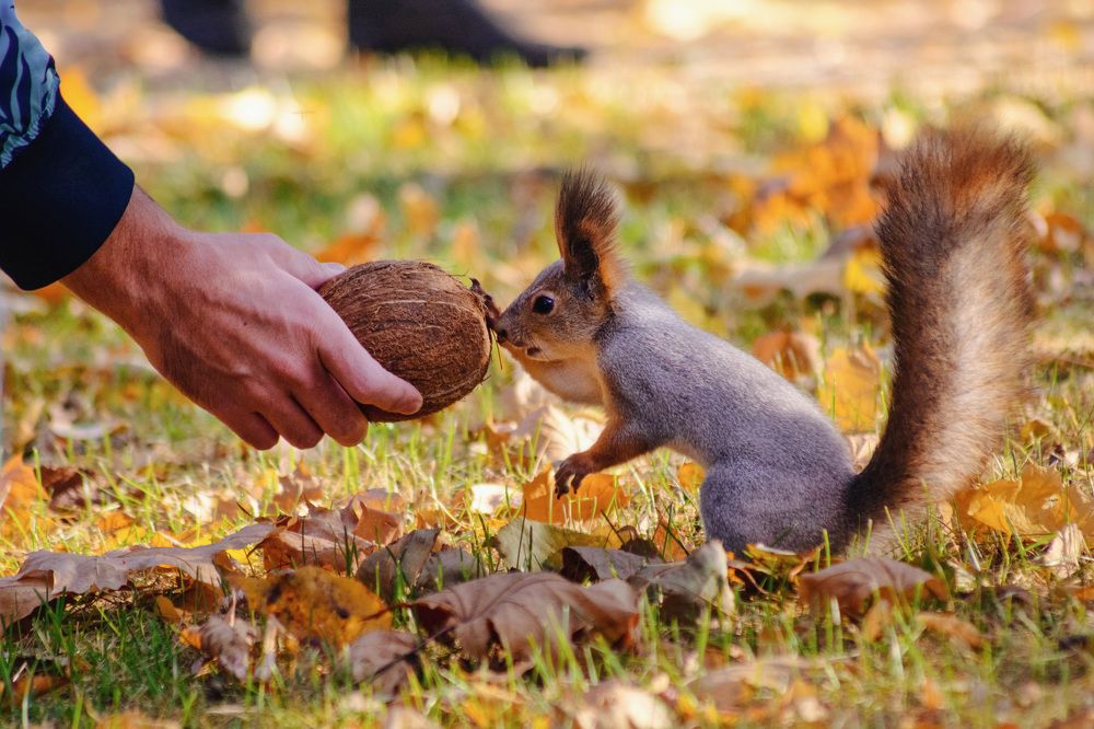 Photograph by Игорь Еремеев