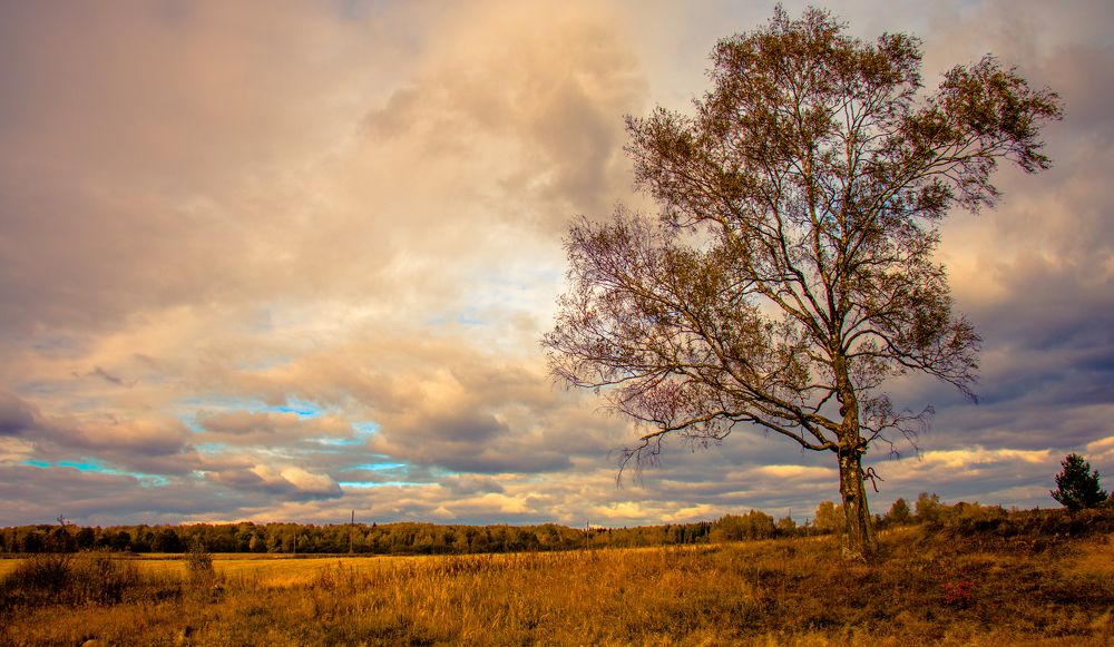 Photograph by Aleksandra