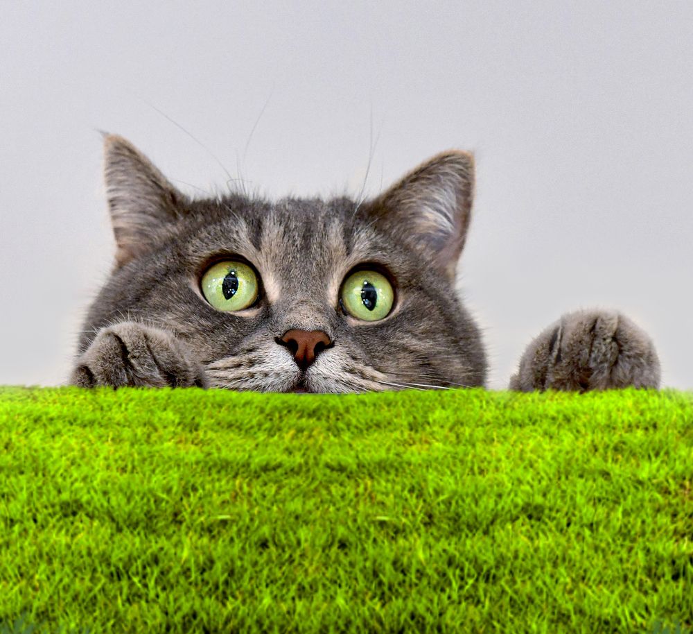 Photograph by NADEZHDA PELYMSKAIA