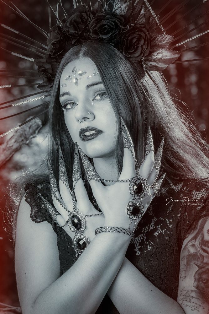 The Witch in the forest