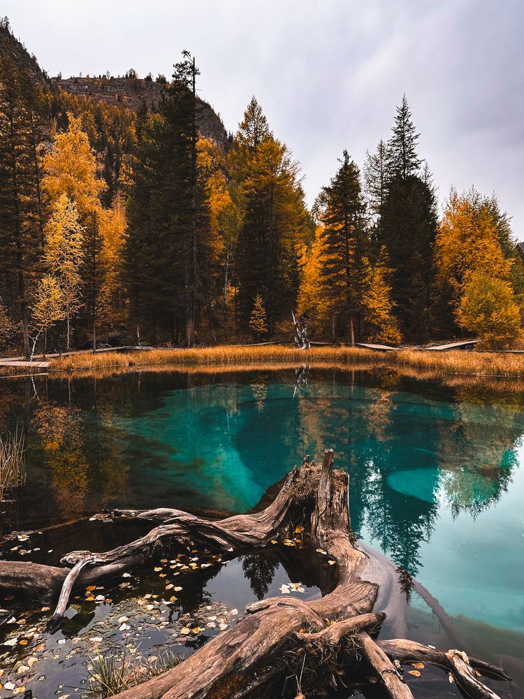 Photograph by Soul Siberia