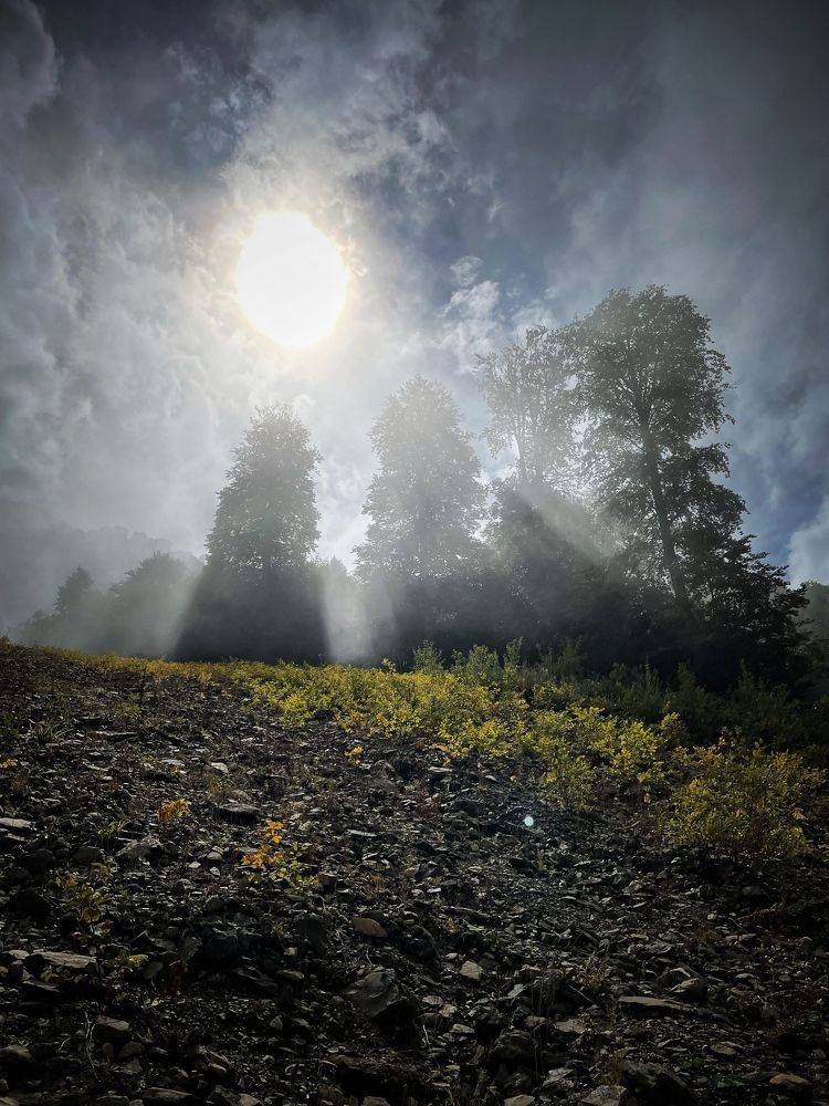 Photograph by Sergei Komlev