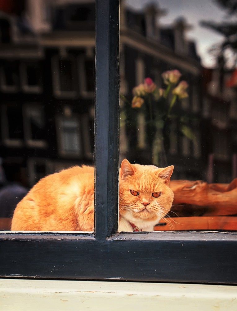 Photograph by Ксения Базарова