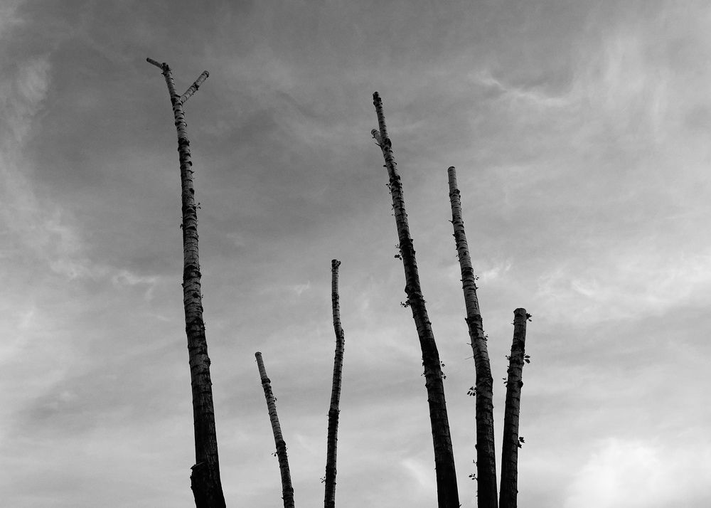 Photograph by Захарова Елена