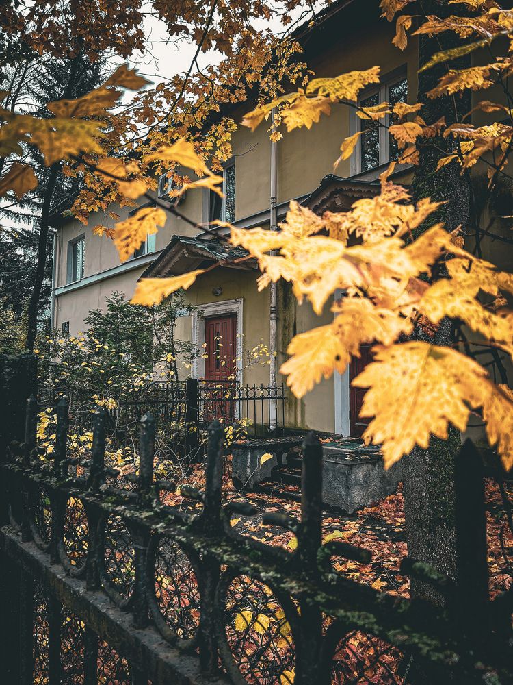 Photograph by Алена Жирова