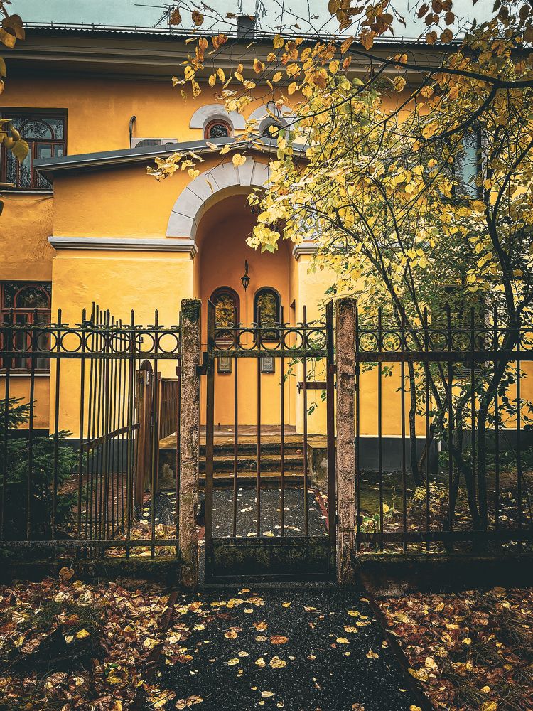 Photograph by Алена Жирова