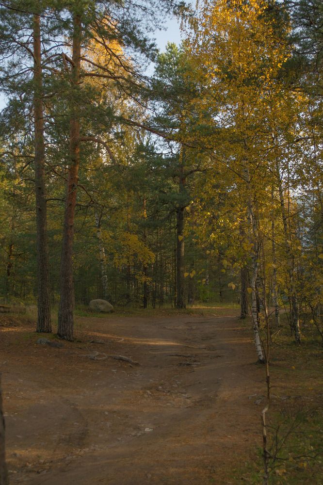 Photograph by Евгения Щеколдина